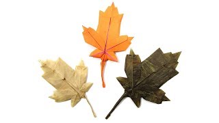 Origami Maple Leaf Canada tutorial (Brian Chan) 折り 紙 カエデの葉