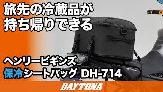 旅先の冷蔵品が持ち帰りできる_HenlyBegins_保冷シートバッグ_HD714_175