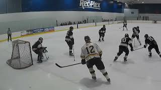 Backhand nutmeg the D-man and then find the smallest opening in the goal? Easy peasy