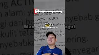 Fubgisida murah Jadam Sulfur (Fungisida) #petanicabai #pertanian #petanimuda