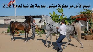 بطولة منتون الدولية لجمال الخيول العربية الأصيلة بفرنسا لعام 2021 اليوم الأول 26 يونيو 2021