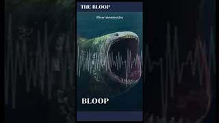 Misteri Dan Suara Rekaman Bloop Fish !! #facts #hewanlaut #shorts screenshot 5
