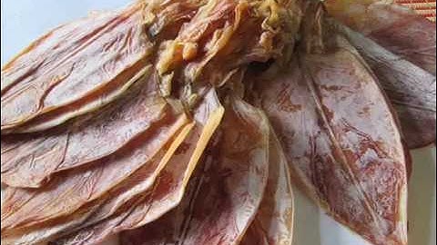 MỰC KHÔ PHAN THIẾT