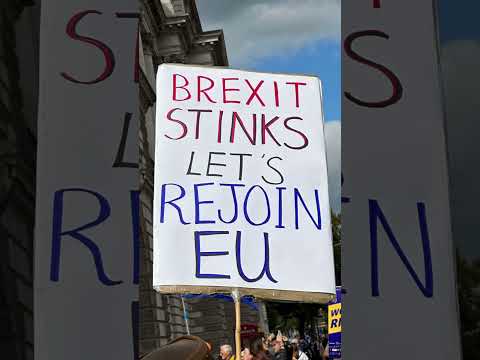 The National Rejoin EU March 23.09.2023 - Clever anti-Brexit placards