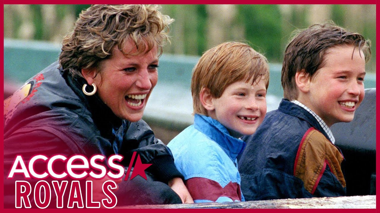 Prince Harry Believes His Late Mother Princess Diana Would Be 'Sad' Over Prince William Feud
