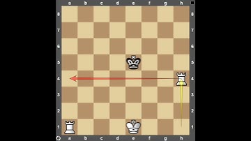 Checkmate with 2 Rooks