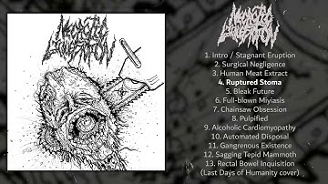 Necrotic Liquefaction - s/t FULL DEMO (2019 - Goregrind)