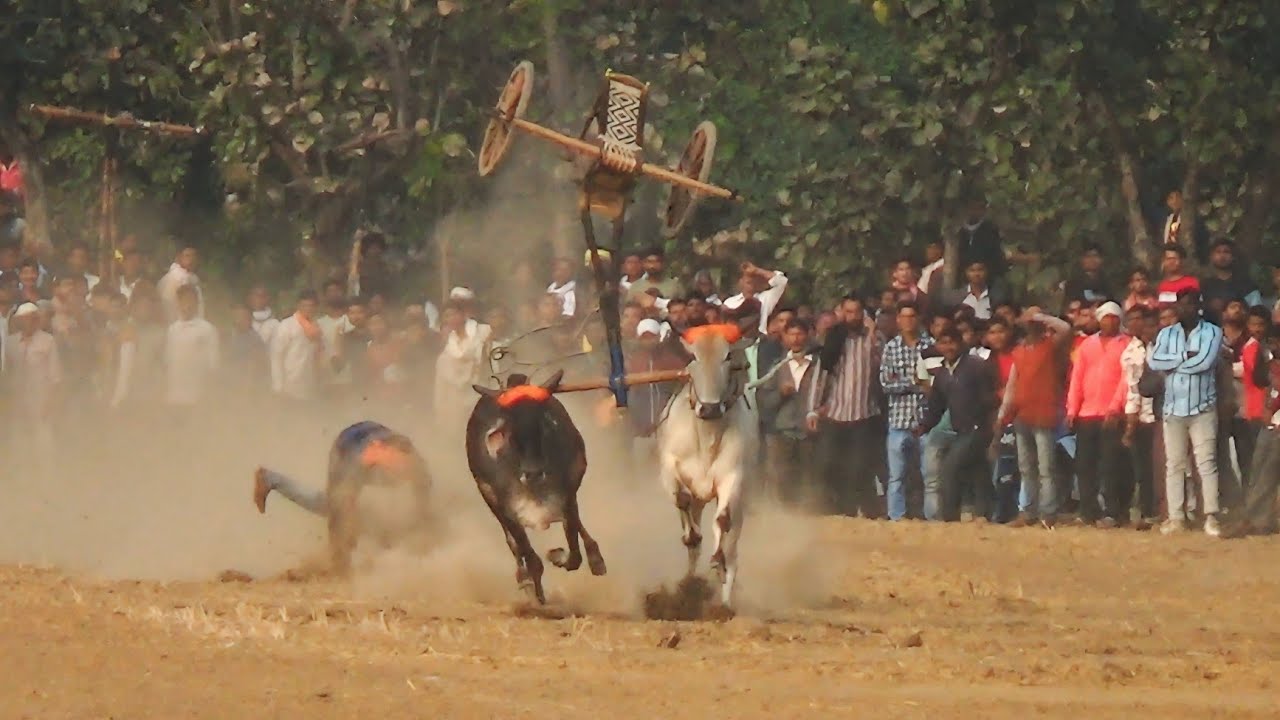 तीसरा दिन पहला कपलAll Video 🙋 मानेगाँव कला पट स्थल बारा पत्थर टोला बरघाट 👫 Pratiyogita Video