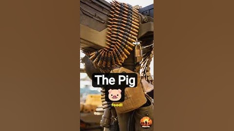 Meet ‘The Pig’ — The M60 Machine Gun