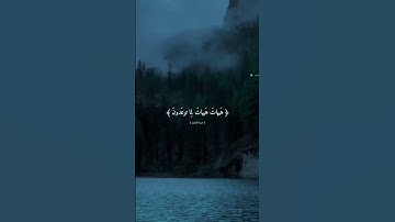 تلاوة جميلة من القارئ ياسر الدوسري #relaxing #اكسبلور #muslimprayer #ayatulkursi #راحة_نفسية #quran