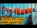 እንደ ነፍሱ የሚወደውን ጓደኛውን ገ ደ ሉ በ ት ከዛም የፊልም ታሪክ ባጭሩ
