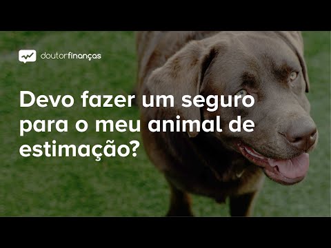 Vídeo: Pack um cão no Dogpack Awesome