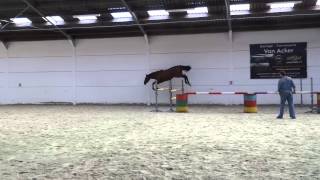 Nessy Vh Lindehof Jes Vh Lindehof X Nonstopjessy