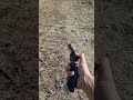 revolver calibre .22LR