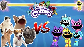 All Smiling Critters Poppy Playtime VS Cat Meme Epic Battle Meme Battle