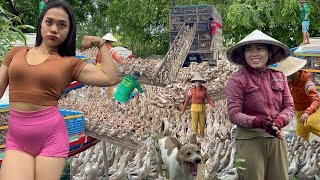 Full Video: Watch the Red View Chill Duck Leave the Boat and Head into the Fields for Food  Tàu Vịt
