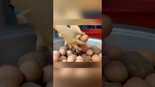 The Crispy Potato & Egg Street Snack