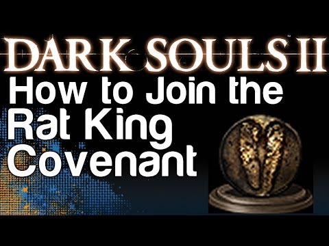 How to Join the Rat King Covenant - Dark Souls 2 (Gnawing Covenant  Achievement)