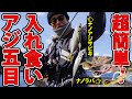 ライトゲーム／LIGHT GAME】超簡単デイ五目～広瀬達樹（ひろせ・たつき