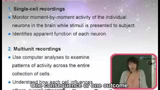 普通心理學 General Psychology CH 4. THE BRAIN AND THE NERVOUS SYSTEM SENSATION & ... /  YEE-SAN TEOH