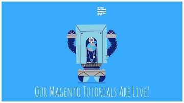 How to Set Up Customer Tax Class in Magento