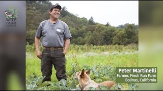 The Power of Raptors for Pest Control