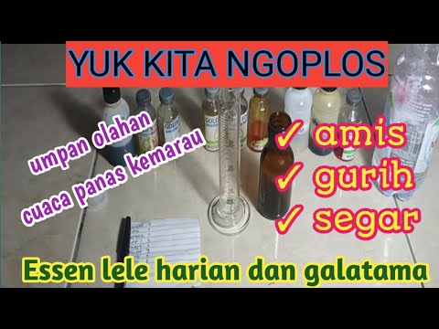 Cara Bikin Essen Oplosan Ikan Lele