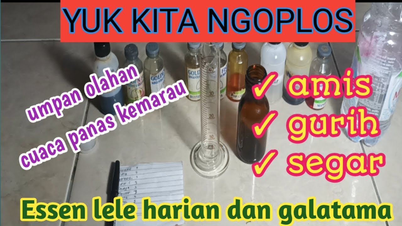 oplosan Essen lele cuaca panas musim kemarau
