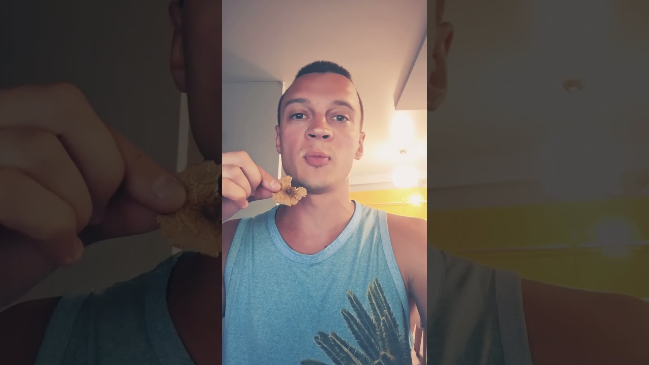 Мухомор, работа, первый прямой эфир завтра! 