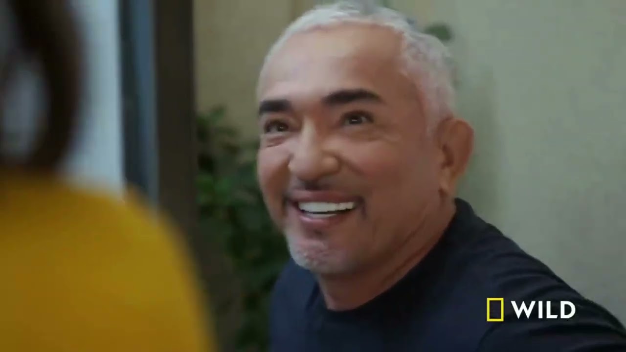 Juan Dussan dubbing reel