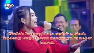 EFEK GEDANG KLUTHUK - AGENG Karaoke