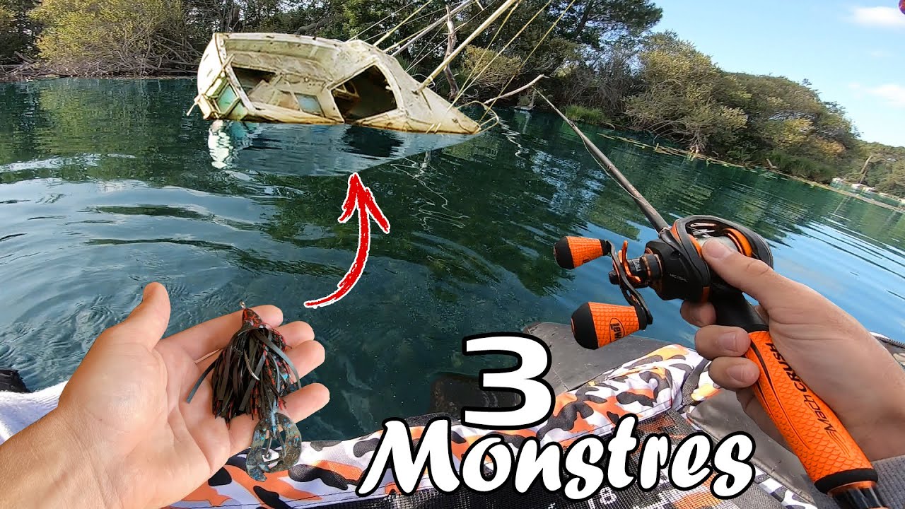 Il y a 3 ÉNORMES POISSONS au Même Endroit ! Pêche au lac de Biscarosse