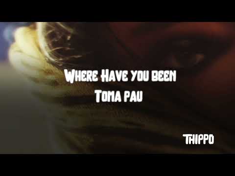 Where Have You Been - Toma Pau - Remix