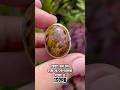 batu akik fosil palm natural alam #batuakikmotif #gemstone #batuakikmurahmeriah #anggurbaturaja