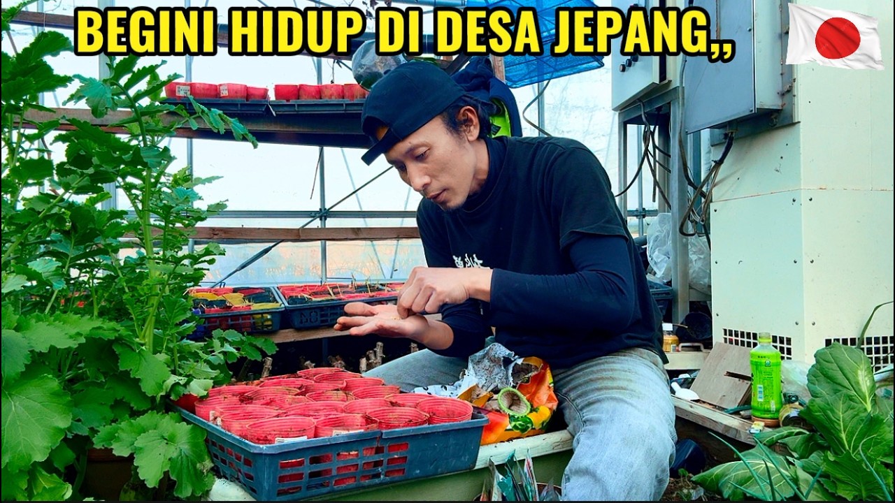 Bercocok tanam di desa jepang menjelang musim panas