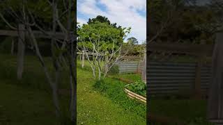 continuation... For Sale $525,000 1 Corringarra Rd Smeaton Vic