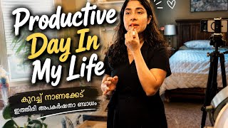Productive Day In My Life/ cheat meal day/ വീട്ടുകാര്യം നാട്ടുകാര്യം നമ്മുടെ സ്വന്തം കാര്യം#miya 