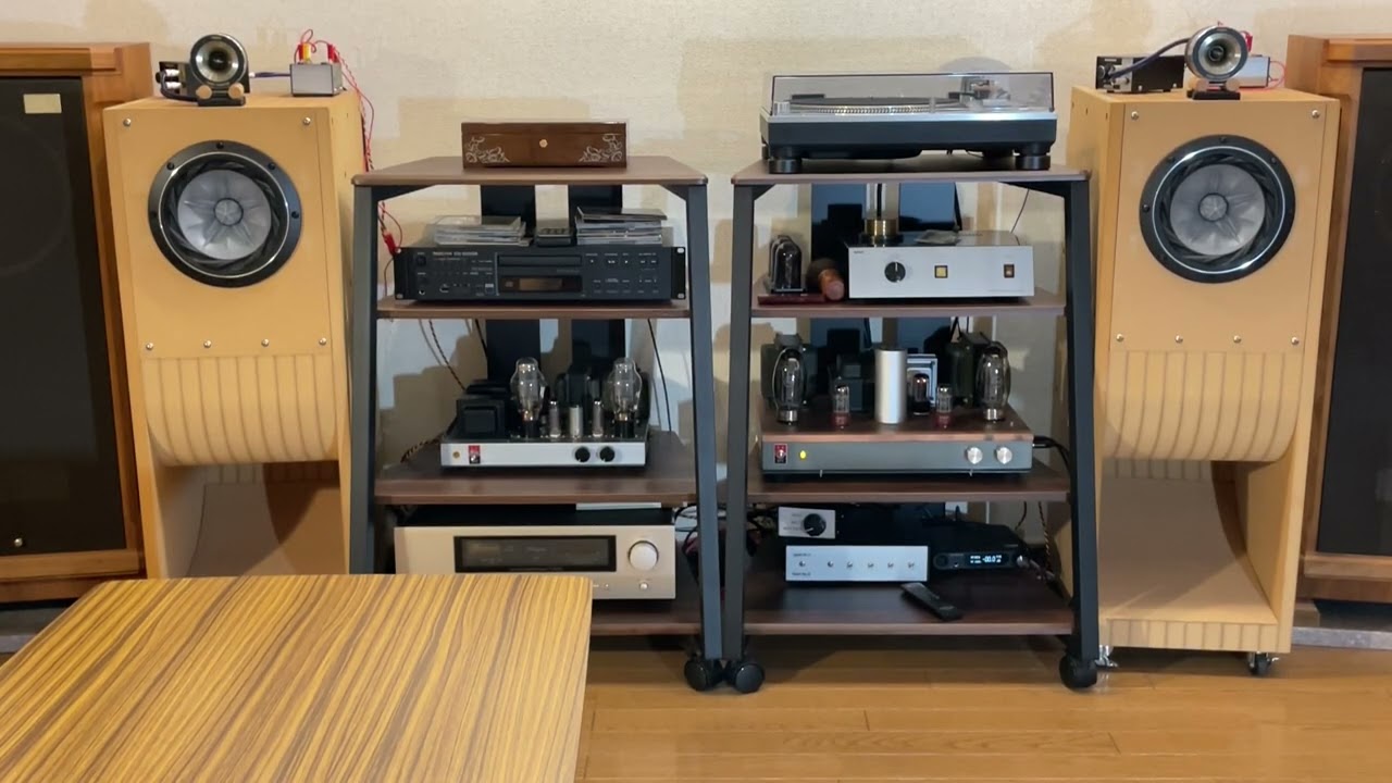 生きがい / Le Couple（ FOSTEX FE208SS-HP + T925A  ）