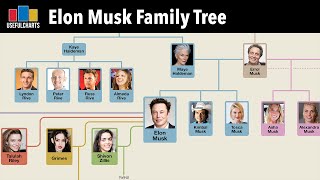 Elon Musk Family Tree