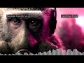 Savage Overdrive | Cyberpunk Bass Mix | Night City EDM Experience 🚗