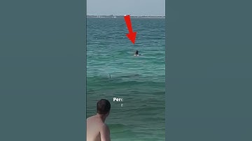 ¡Para esta chica ya es demasiado tarde para huir del tiburón! 🦈🏊🏼‍♀️😨 #shorts
