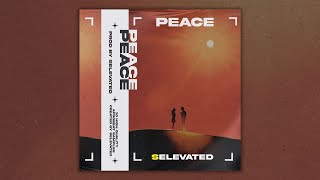(FREE) Afrobeat Loop Kit/ Guitar Sample Pack 2025 “PEACE” - (Afro, R&B,  Guitar Loop Kit)