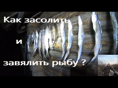 Video: How To Salt Sabrefish