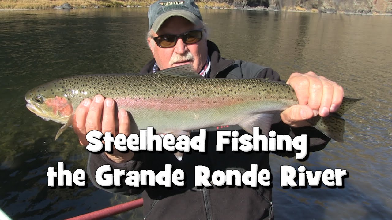 Steelhead Fishing the Grande Ronde River YouTube