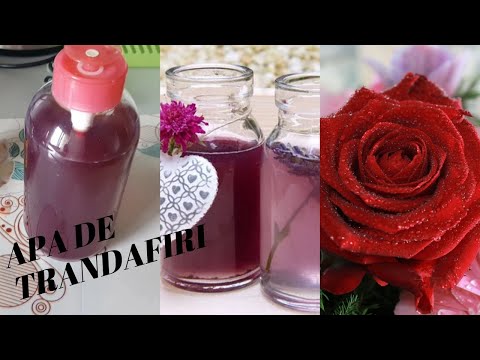 Video: Cum Se Folosește Apa De Trandafiri Pentru Tratamentul Acneei - 11 Rețete DIY