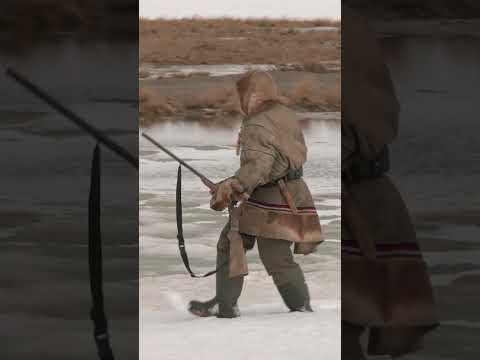 😳 Способы добыть волка #охота #интересно #крайнийсевер