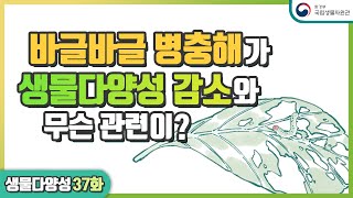 ep37. 병충해와 침입 외래종으로부터 식물은 내가 지킨다 – 국제식물보호협약(IPPC)