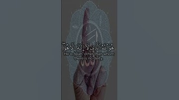 🌿تلاوة من سورة الحشر 🌿القارئ حمزة بو ديب