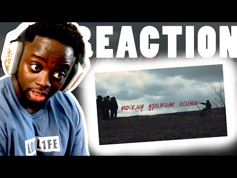 Рем Дигга - Почему Дрожит Осина | Reaction