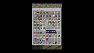Minecraft Survival World